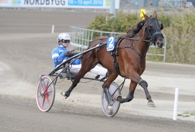 Arvie Hanover heat