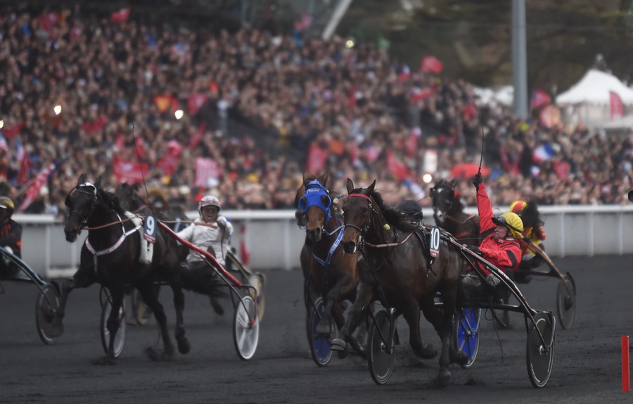 BOLD EAGLE PRIX d'AMERIQUE