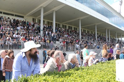 Derby Tribüne