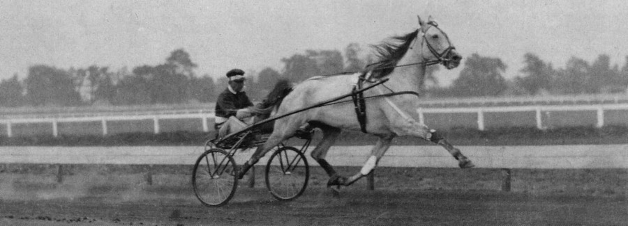 Greyhound Warmup RedMile