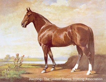 Hambletonian Painting