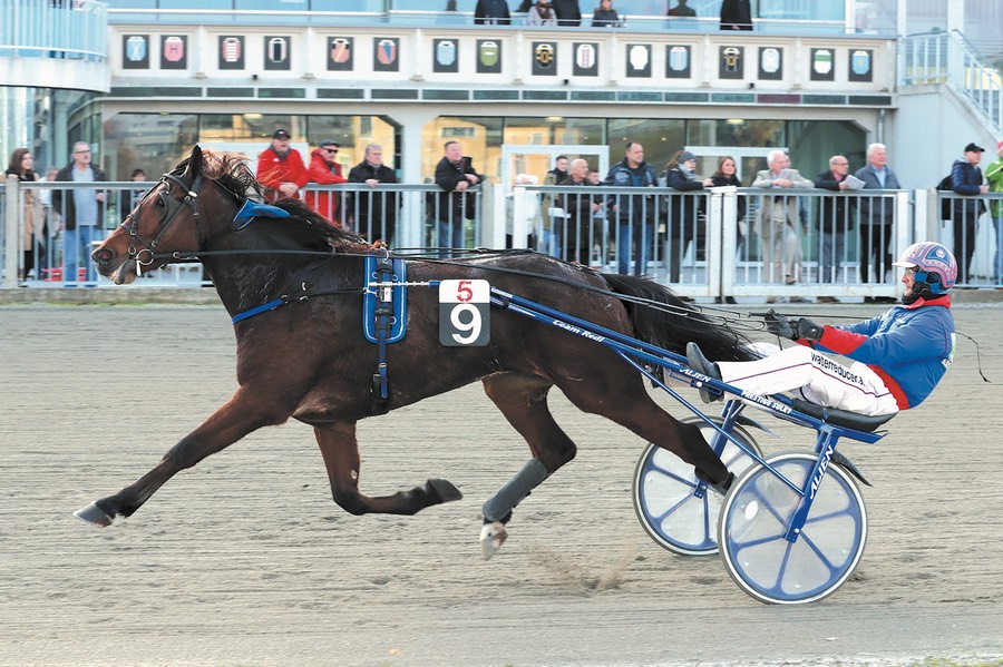 Inacessible Grou 2019 11 1