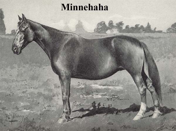 minnehaha1