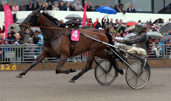 NAHAR ARRIVEE ELITLOPPET1