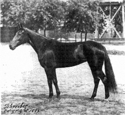 Nancy Hanks (horse)