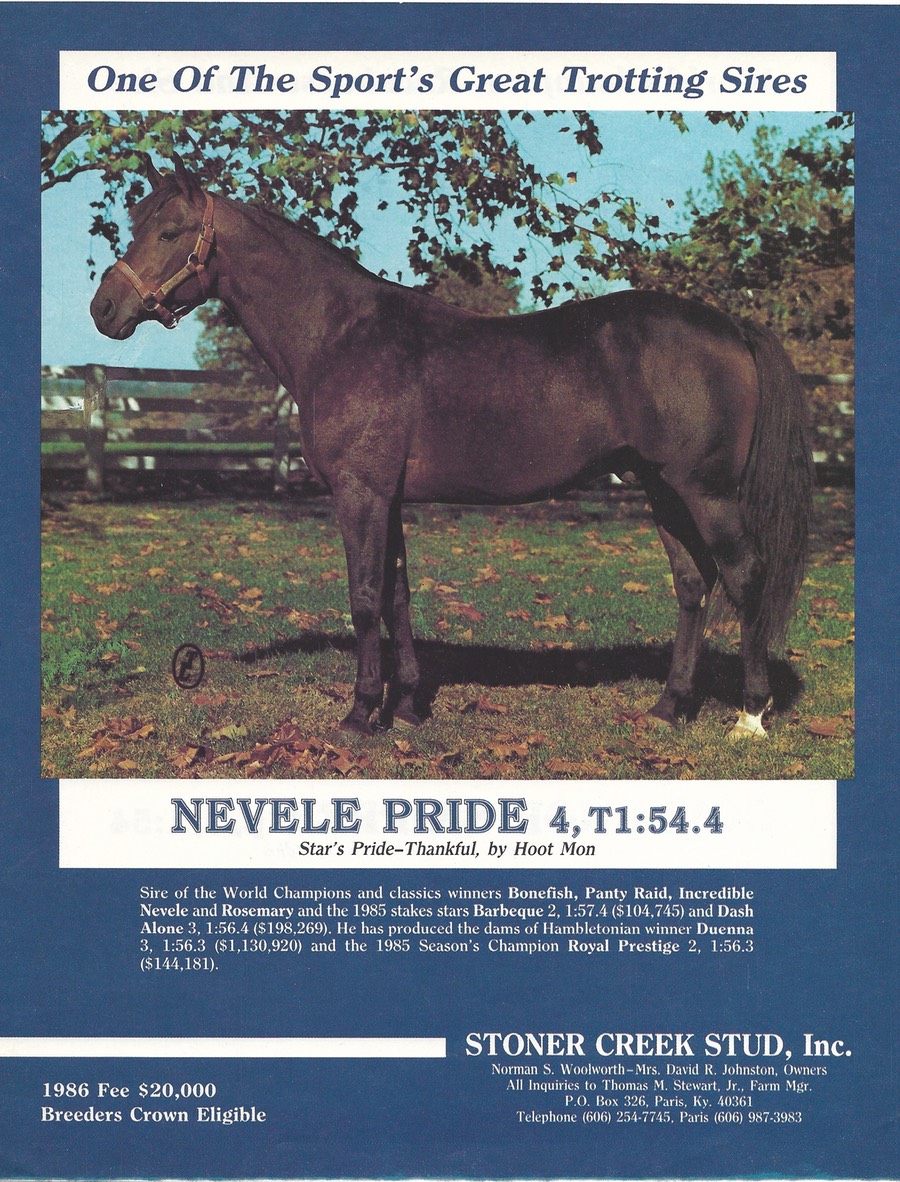 Nevele Pride 1985