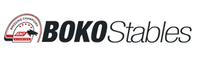 Boko Logo