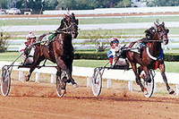 Pine Chip vs. American Winner Kentucky Futurity 1993