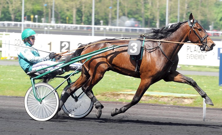 ROBERT BI PRIX ŠT VINCENNE