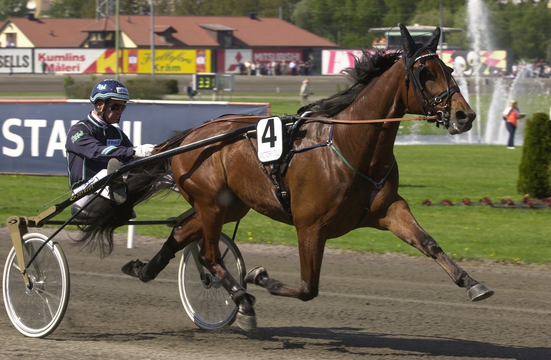 Victory Tilly Solvalla