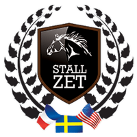 zetstallion-logotyp–3flagg